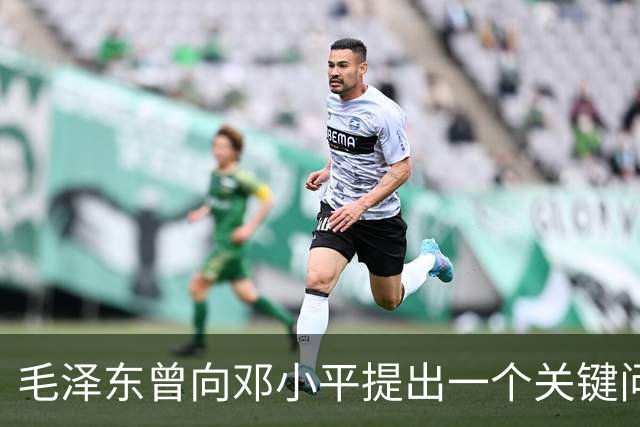 毛泽东曾向邓小平提出一个关键问题：我走后，你究竟何去何从？邓小平回答得十分坦然，主席听后目光一亮、下颌微抬，表示认可