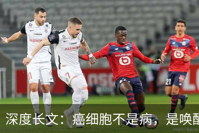 深度长文：癌细胞不是病，是唤醒了 25 亿年前的生存本能！