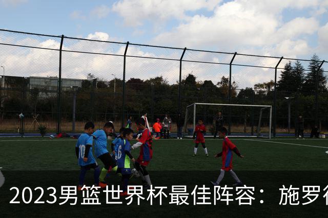 2023男篮世界杯最佳阵容：施罗德东契奇领衔